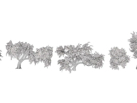 Ghaf Tree Collection 3D Model