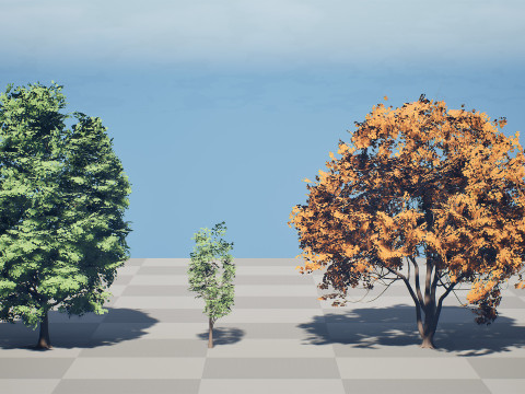 北米産シュマードオーク 3Dモデル