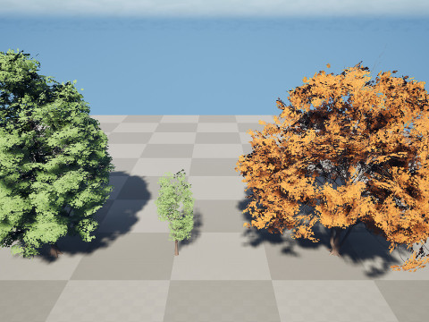 北米産シュマードオーク 3Dモデル