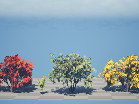 Noord-Amerikaanse Boxelder-esdoorn 3D Model