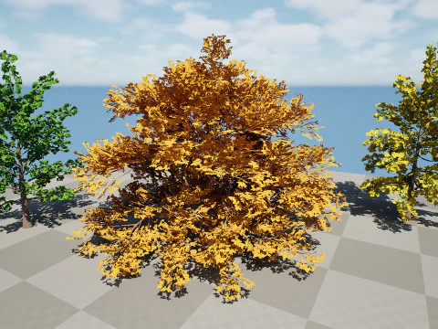 ノースアメリカン スワンプ ホワイト オーク 3Dモデル