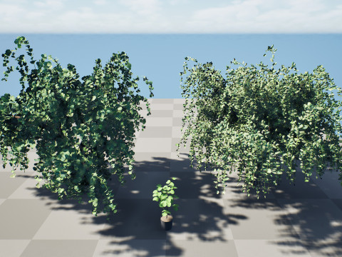 アラビア・アッシリアの梅の木コレクション 3Dモデル