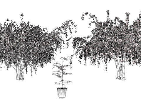 アラビア・アッシリアの梅の木コレクション 3Dモデル