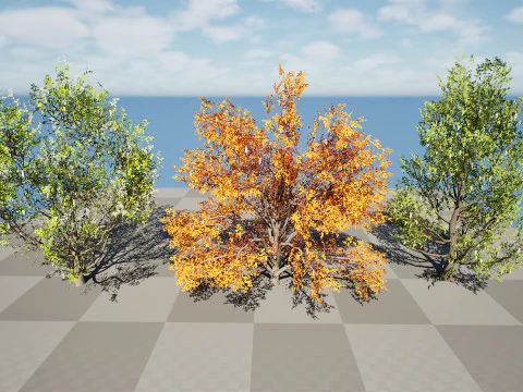 North American Cottonwood Collection 3D Model