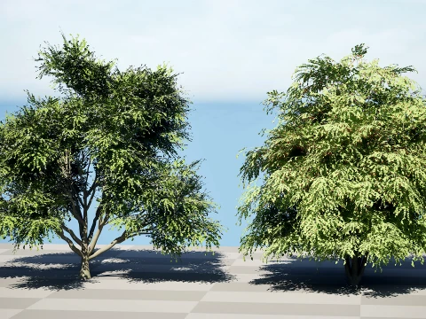 North American True Berries Aggregate Fruits 3D Model