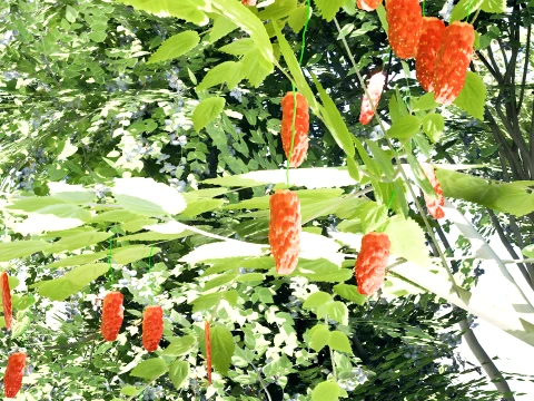 North American True Berries Aggregate Fruits 3D Model