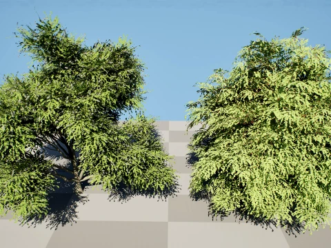 North American True Berries Aggregate Fruits 3D Model