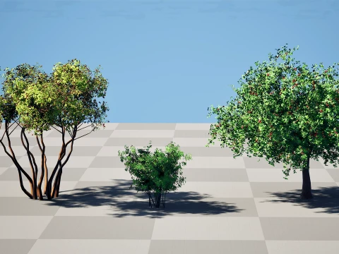 North American Pome Fruit Trees 3D Model