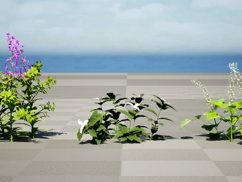 North American Wildflowers 02 3D Model