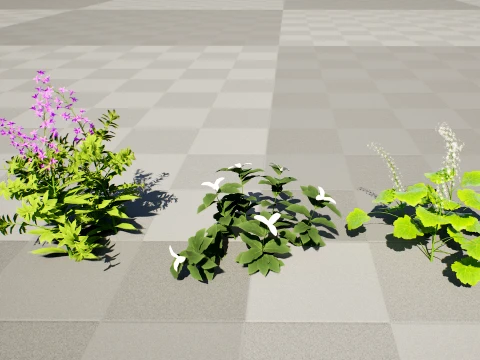 North American Wildflowers 02 3D Model