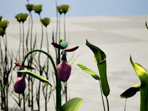 North American Wildflowers 03 3D Model
