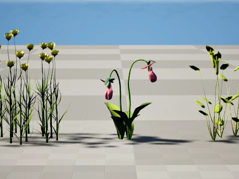 North American Wildflowers 03 3D Model