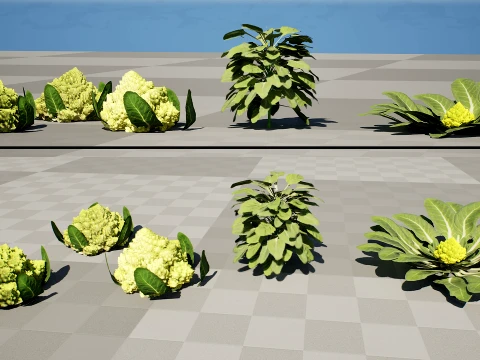 Romanesco vegetable plants 3D Model