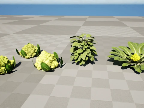 Romanesco vegetable plants 3D Model