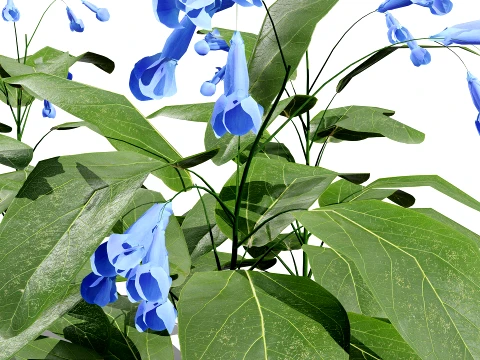 North American Wildflowers 01 3D Model