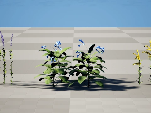 North American Wildflowers 01 3D Model