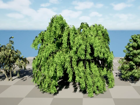 北米の一般的な木 3Dモデル