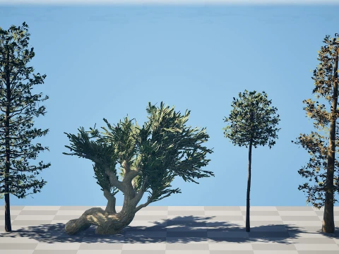 North American Pines Collection 3D Model
