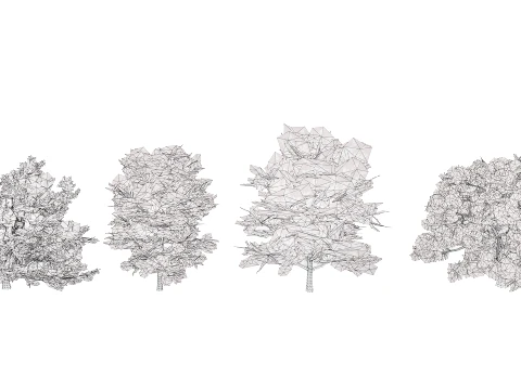 North American Oak Trees Collection 3D Model