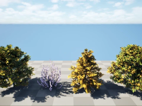 北米のチューリップ ツリー パック 3Dモデル