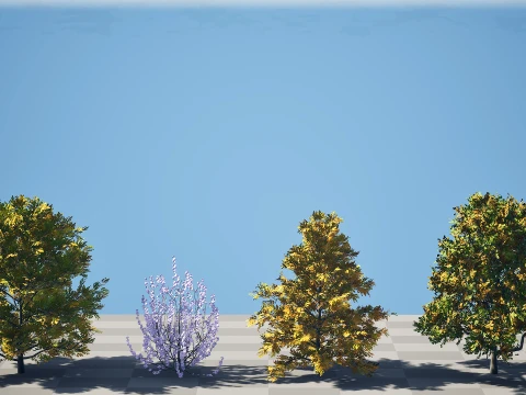 北米のチューリップ ツリー パック 3Dモデル