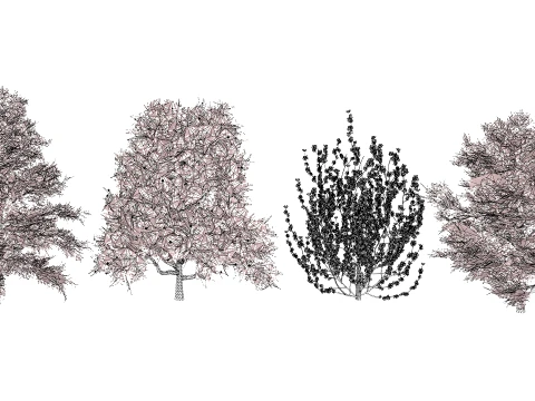北米のチューリップ ツリー パック 3Dモデル