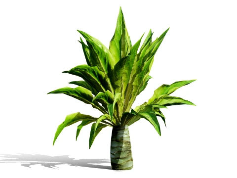North American Celtuce Plant Collection 3D Model