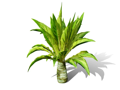 North American Celtuce Plant Collection 3D Model