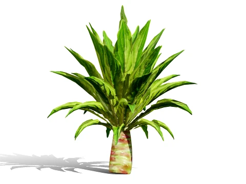 North American Celtuce Plant Collection 3D Model