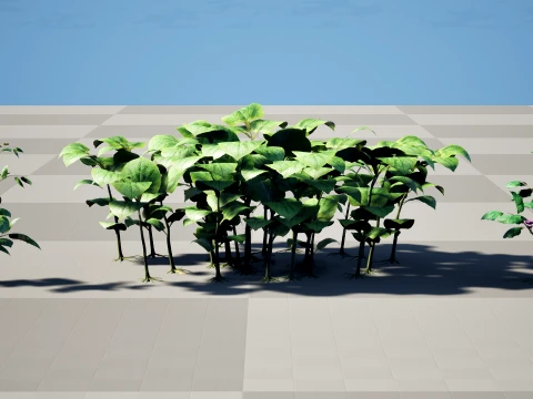 Ullucus Tuberosus Vegetable Plants 3D Model