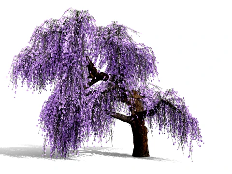 Japanese Wisteria Tree Pack 3D Model