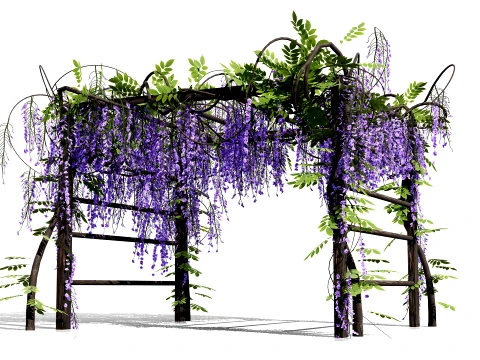 Japanese Wisteria Tree Pack 3D Model