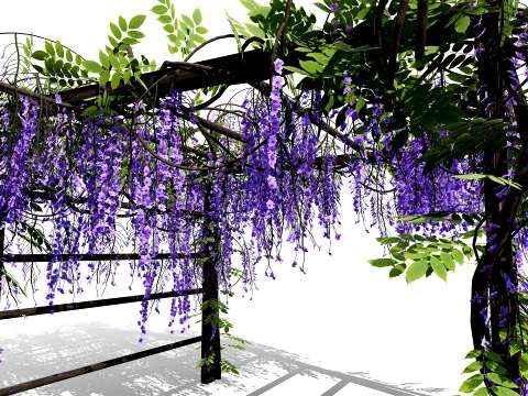 Japanese Wisteria Tree Pack 3D Model