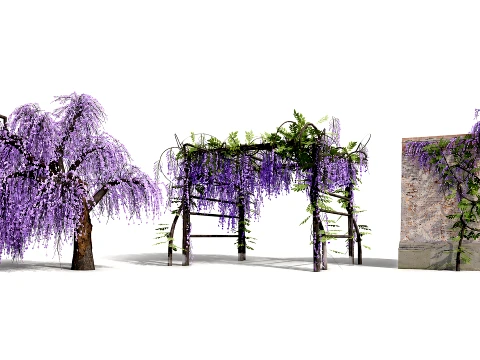 Japanese Wisteria Tree Pack 3D Model