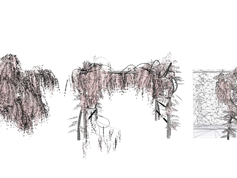 Japanese Wisteria Tree Pack 3D Model