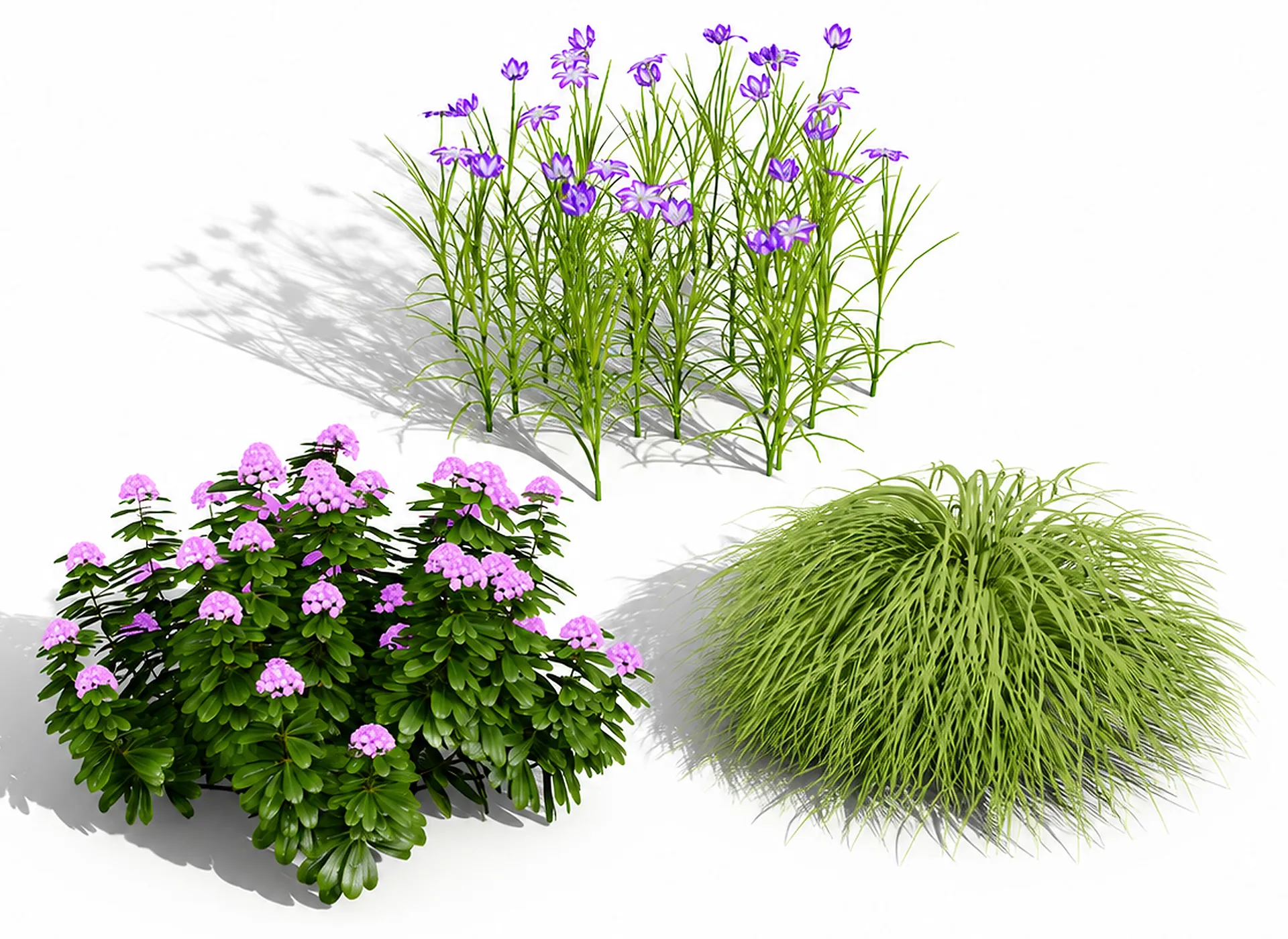 Japanese Garden Plants Collection 02 3D Model .c4d .max .obj .3ds .fbx .stl .blend 