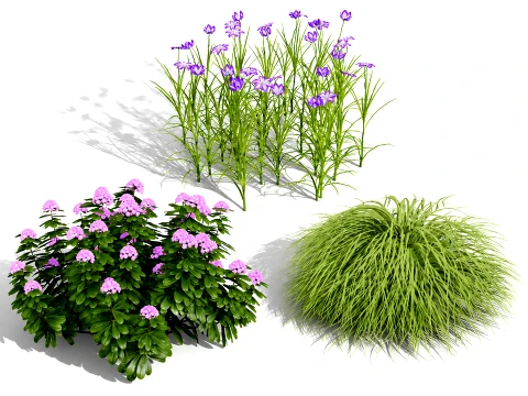 Japanese Garden Plants Collection 02 3D Model