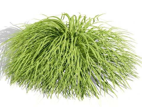 Japanese Garden Plants Collection 02 3D Model