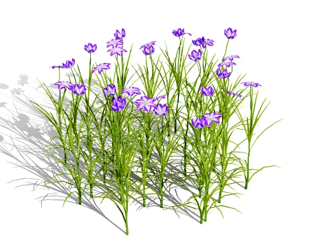 Japanese Garden Plants Collection 02 3D Model