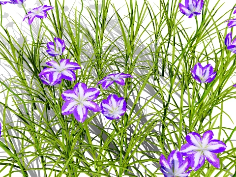 Japanese Garden Plants Collection 02 3D Model