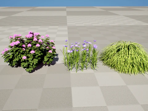 Japanese Garden Plants Collection 02 3D Model