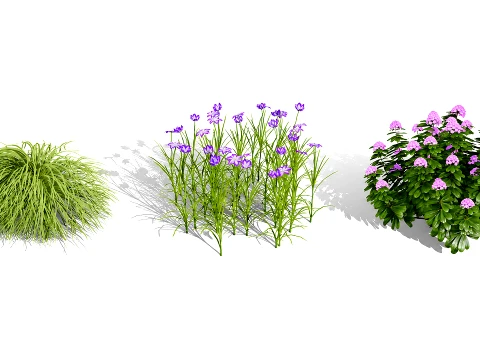 Japanese Garden Plants Collection 02 3D Model