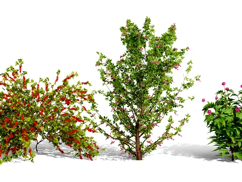 Japanese Garden Plants 03 3D Model