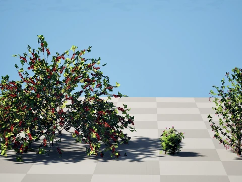 Japanese Garden Plants 03 3D Model