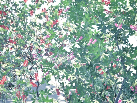 Japanese Garden Plants 03 3D Model