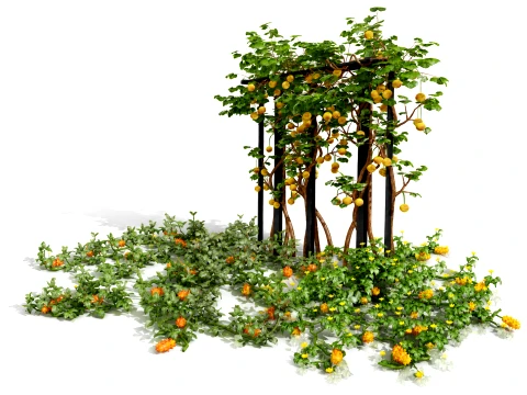 Plantes de l&eacute;gumes-fruits Kiwano Plant Modèle 3D