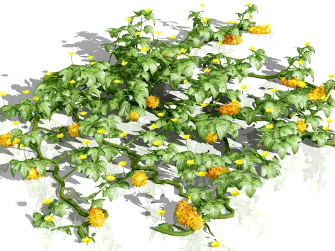 Kiwano Klant Fruit Vegtable Plants 3D Model