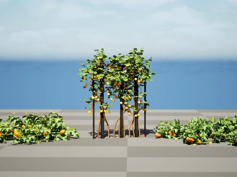Kiwano Klant Fruit Vegtable Plants 3D Model