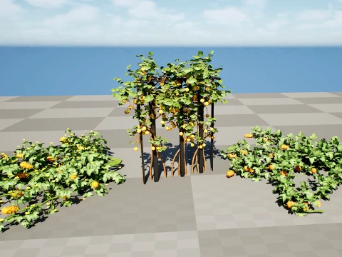 Kiwano Klant Fruit Vegtable Plants 3D Model