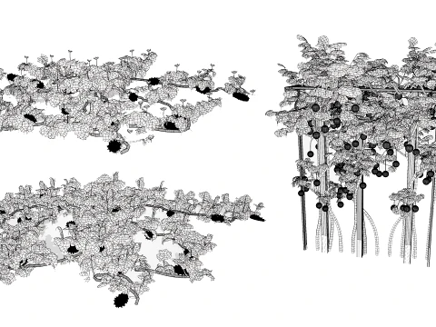 Kiwano Klant Fruit Vegtable Plants 3D Model
